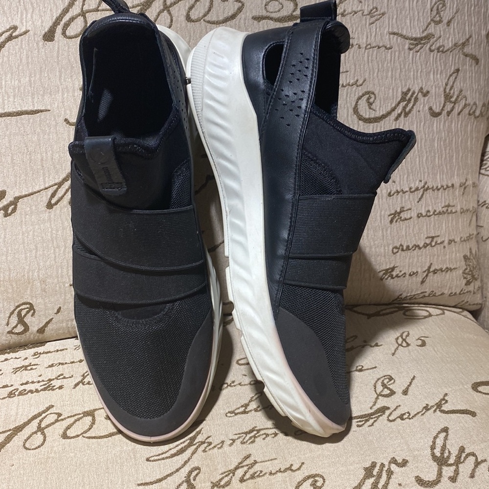 Ecco - Picture 5 of 15